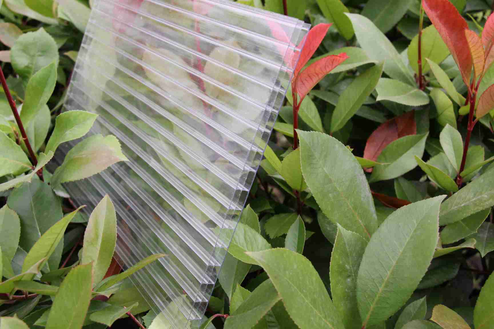 三层阳光板